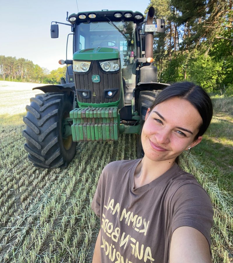 Ami-Traktor-Grünroggen-Ernte